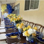 Blue And Yellow Party Decorating Ideas For Ladies Day